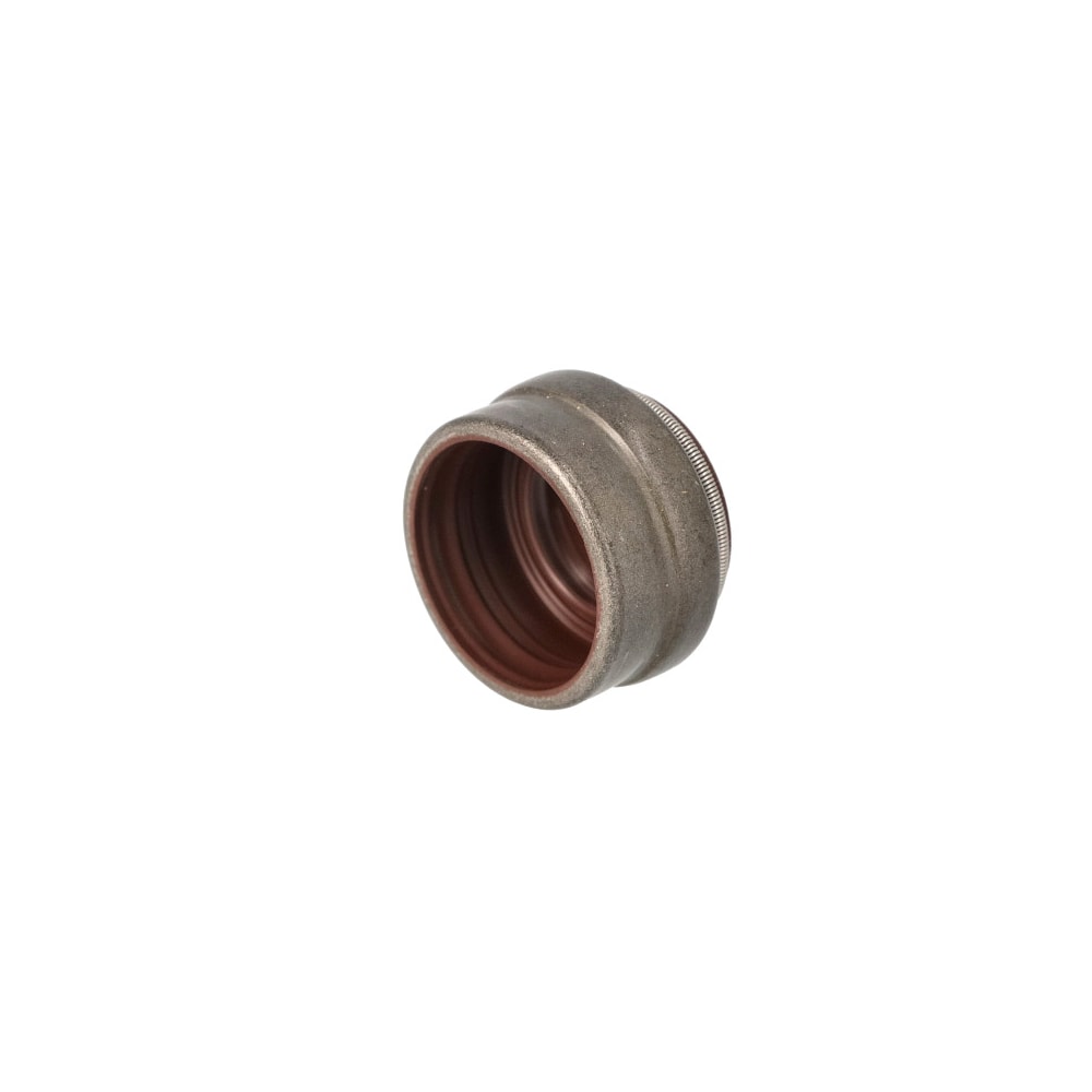 image_cc9c350d-64eb-4e1c-b334-7323fda38c57