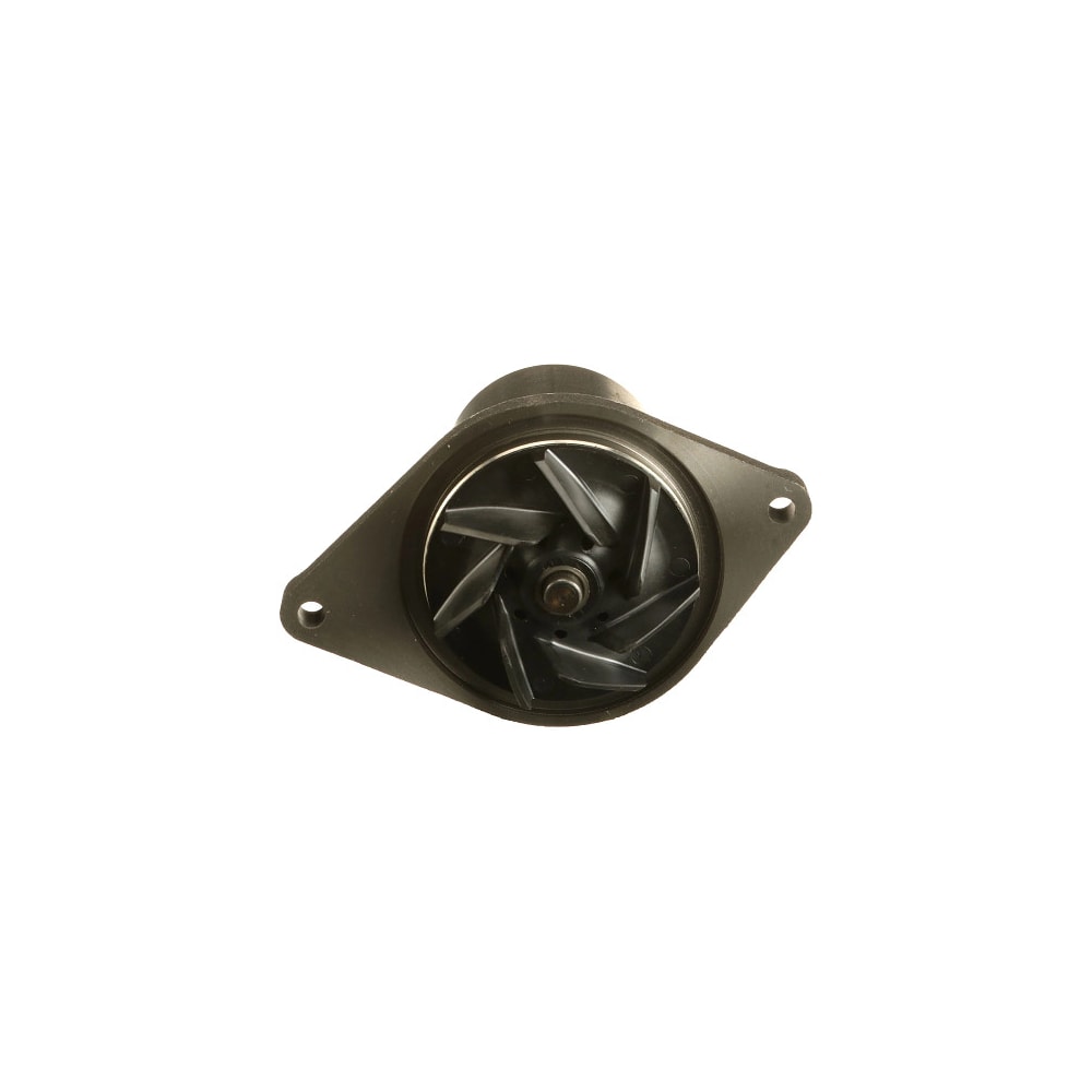 image_bfaf3bcd-1829-46ab-9ffe-3e99e5ca723f