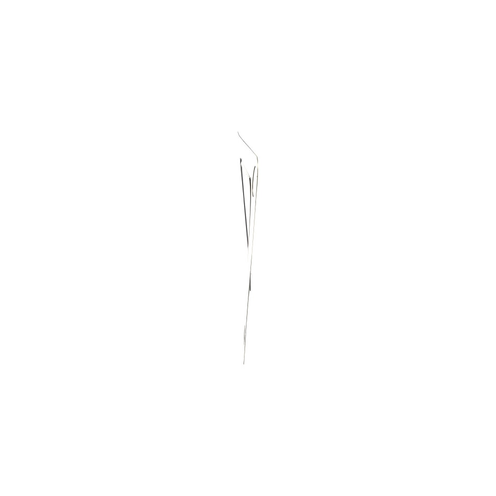 image_dc1e392e-d995-4e65-858c-33101f371e1f