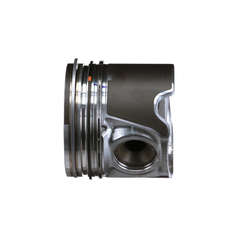 image_b492298b-2de4-4d21-a825-49f900f9b13c