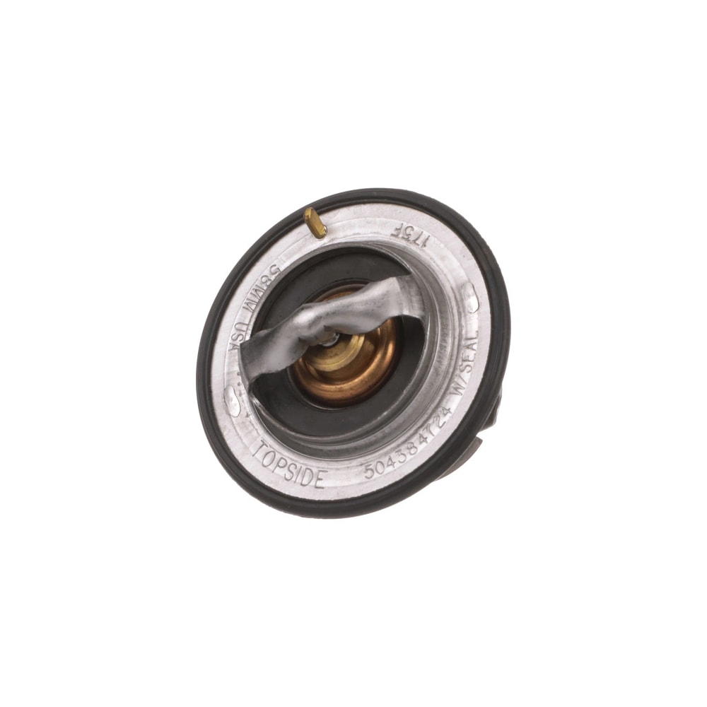 image_ec99c277-0066-4781-a4d0-9083f3f8bd6c